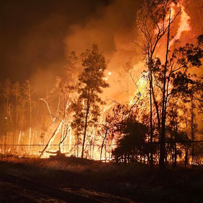 Bild zeigt Buschbrände in Australien bei Millmerran, Queensland