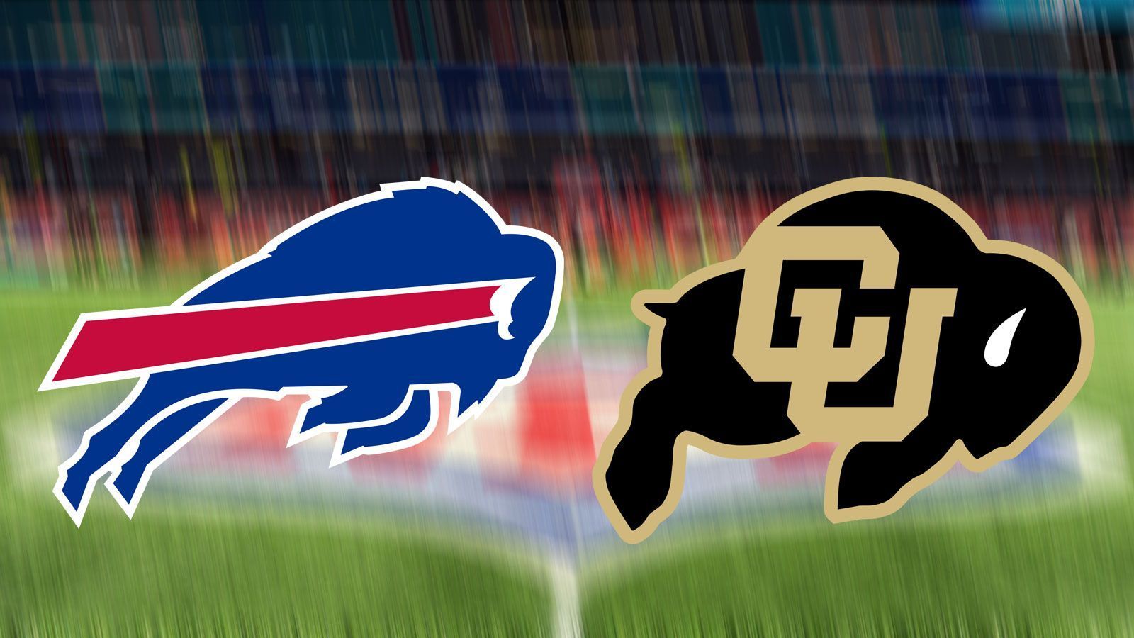 
                <strong>Colorado Buffaloes (NCAA Pac-12 Conference)</strong><br>
                Heimat: Boulder, ColoradoÄhnliches NFL-Logo: Buffalo Bills (l./ aus Orchard Park, New York)Das Logo des College-Teams besteht in dieser Form seit 1981, danach gab es nur noch kleine Anpassungen. Es gab Scherze wegen der Ähnlichkeit zu einem Schwein. Der NFL-Klub hat seit 1974 einen springenden Büffel in seinem Logo.
              