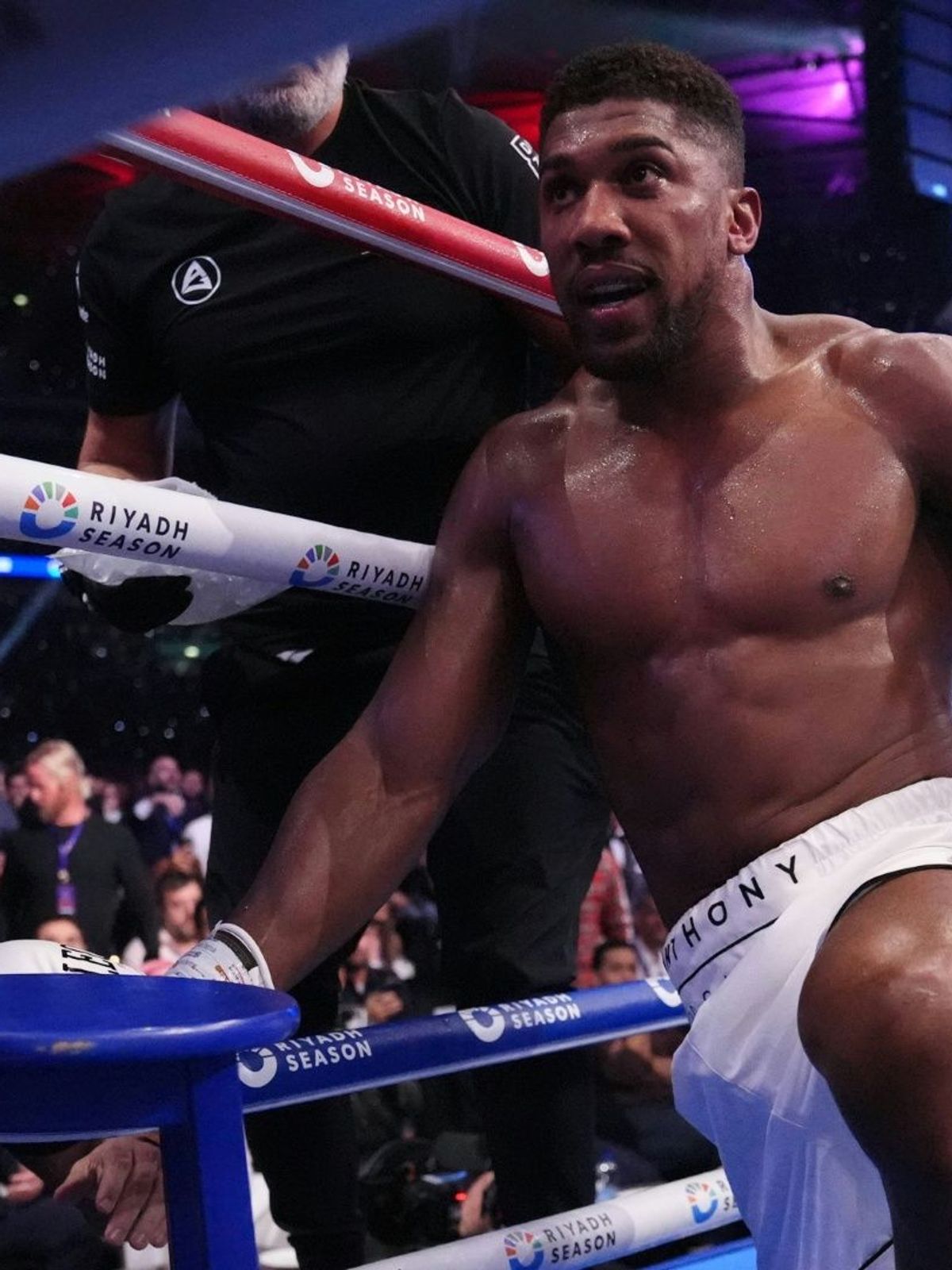 Joshua bei seiner Niederlage gegen Dubois