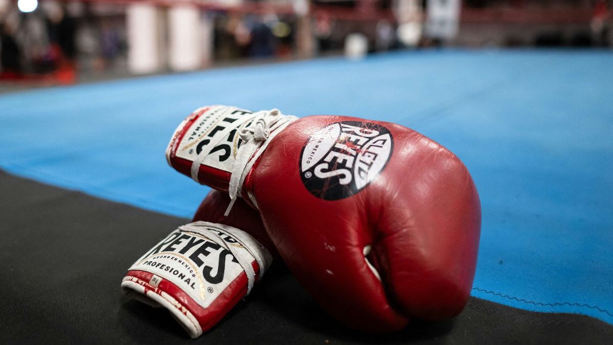 In Japan starbei bei einem Turnier zwei Boxer