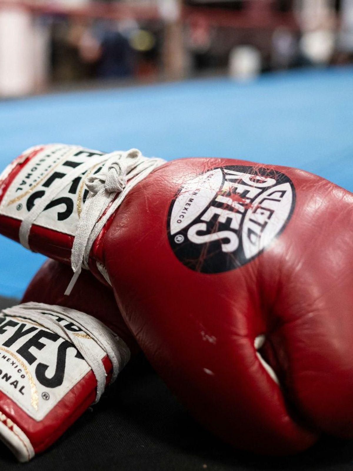 In Japan starbei bei einem Turnier zwei Boxer
