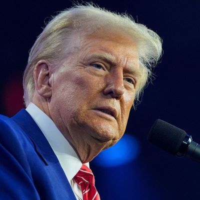Der designierte US-Präsident Donald Trump