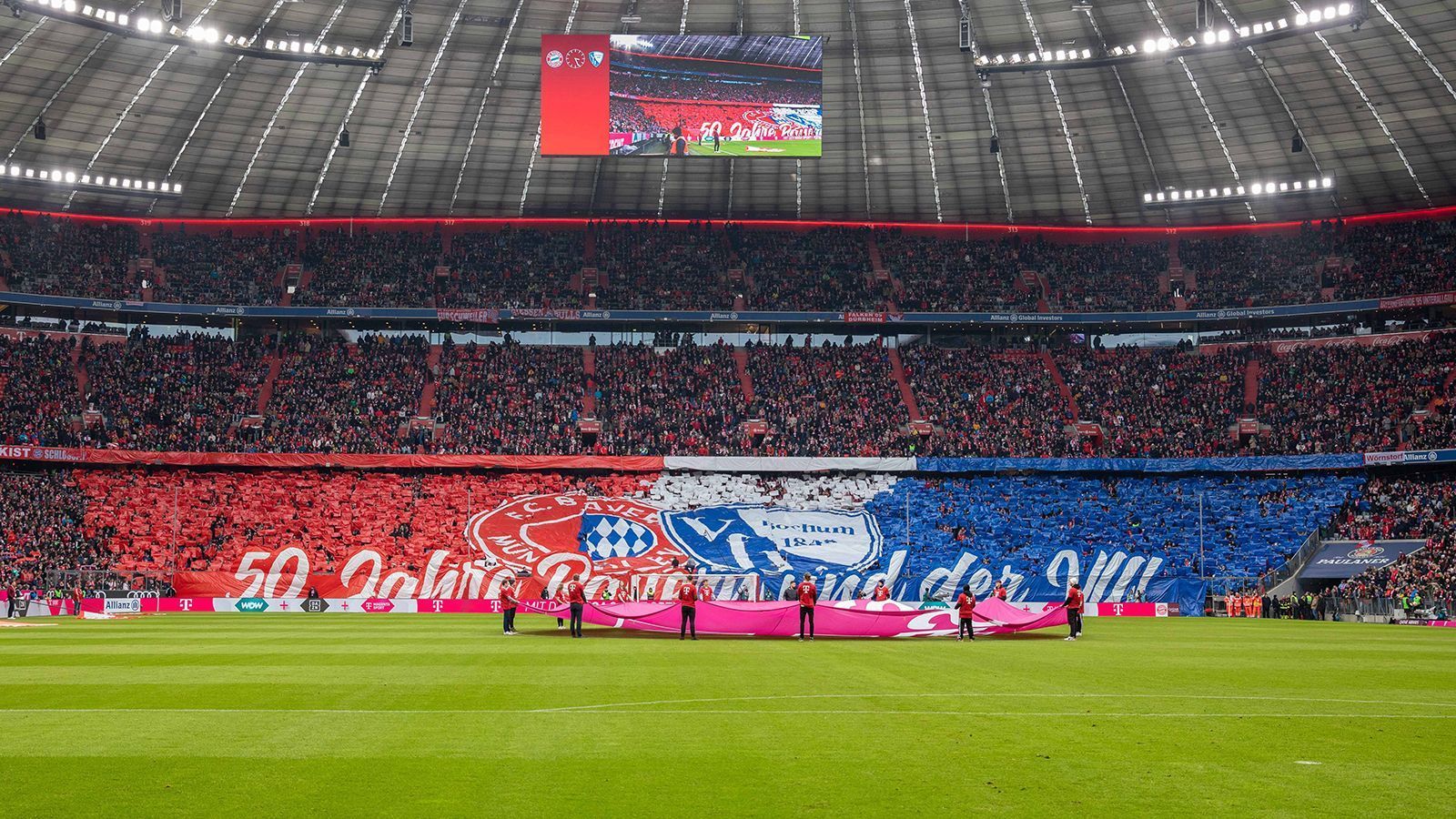 
                <strong>VfL Bochum</strong><br>
                Die engste Fan-Freundschaft gibt es mit dem VfL Bochum – und dies schon seit 50 Jahren. Das feierten die Fan-Gruppen 2023 zusammen beim Aufeinandertreffen beider Mannschaften in der Allianz Arena mit einer Choreographie. 1973 wurden Bayern-Fans von ein paar wenigen Bochumer Fans angegriffen. Die Fan-Gruppe "Bochumer Jungen" griff ein, verscheuchte die Angreifer und nahm die Angegriffenen mit in einer Kneipe. Es war der Start einer innigen Freundschaft, denn als die Bochumer Fan-Gruppierungen später von den ebenfalls befreundeten Hamburger Fans vor die Wahl gestellt wurden, entschieden sie sich für die Freundschaft mit den Bayern.
              