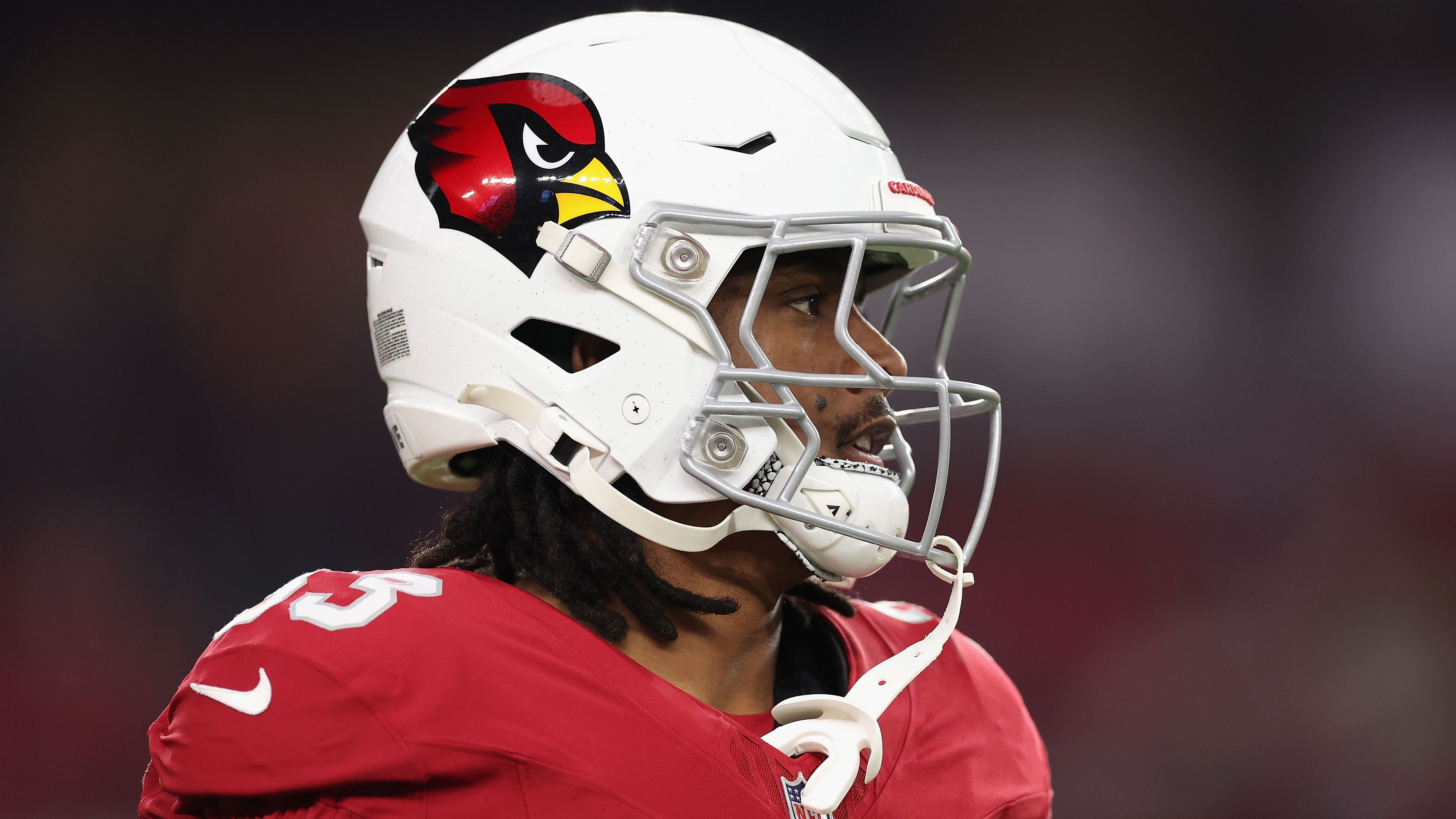 <strong>Platz 18: Arizona Cardinals</strong><br>- 15 Spiele