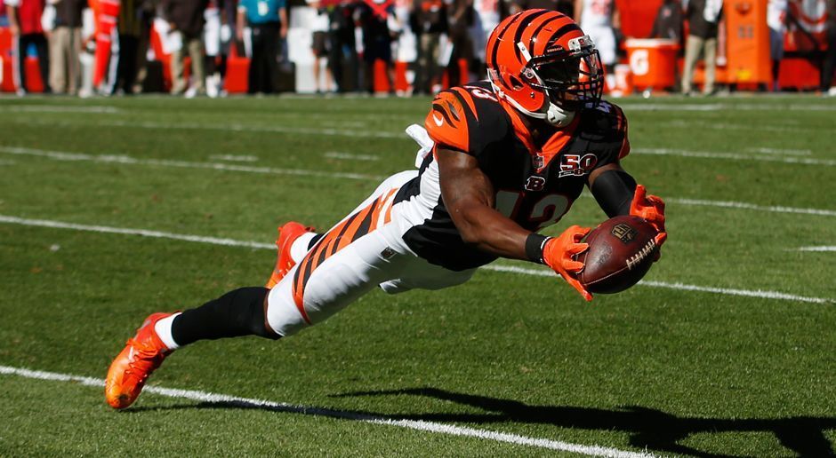 
                <strong>Platz 26: Cincinnati Bengals</strong><br>
                Bilanz: 1-3
              