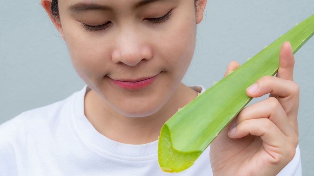 Egal ob Teebaumöl oder auch Aloe vera - wir haben schon oft über diese natürlichen Beauty-Helferlein berichtet. Fest steht: Sie sorgen für ein gesundes Hautbild.