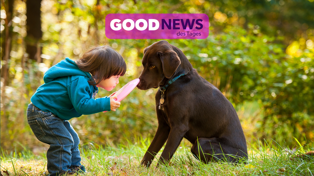 Kinder, die im Haushalt einen Hund haben, sind körperlich deutlich aktiver als Kinder ohne Hund.