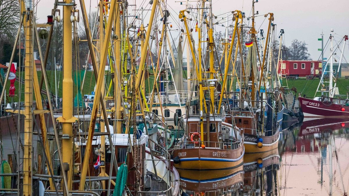 Krabbenkutter liegen im Hafen.