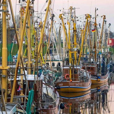 Krabbenkutter liegen im Hafen.