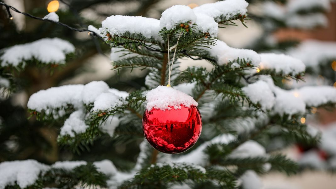 Weiße Weihnachten - das klappt nur manchmal. 