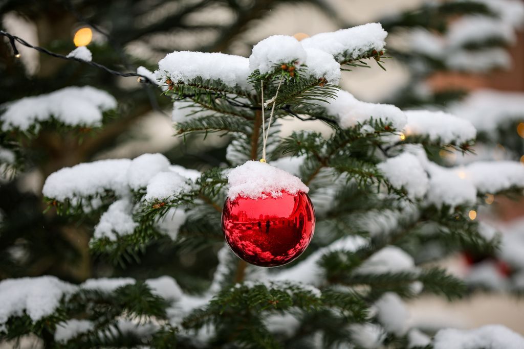 「明信片冬天的天氣」：聖誕節這裡可能會下雪