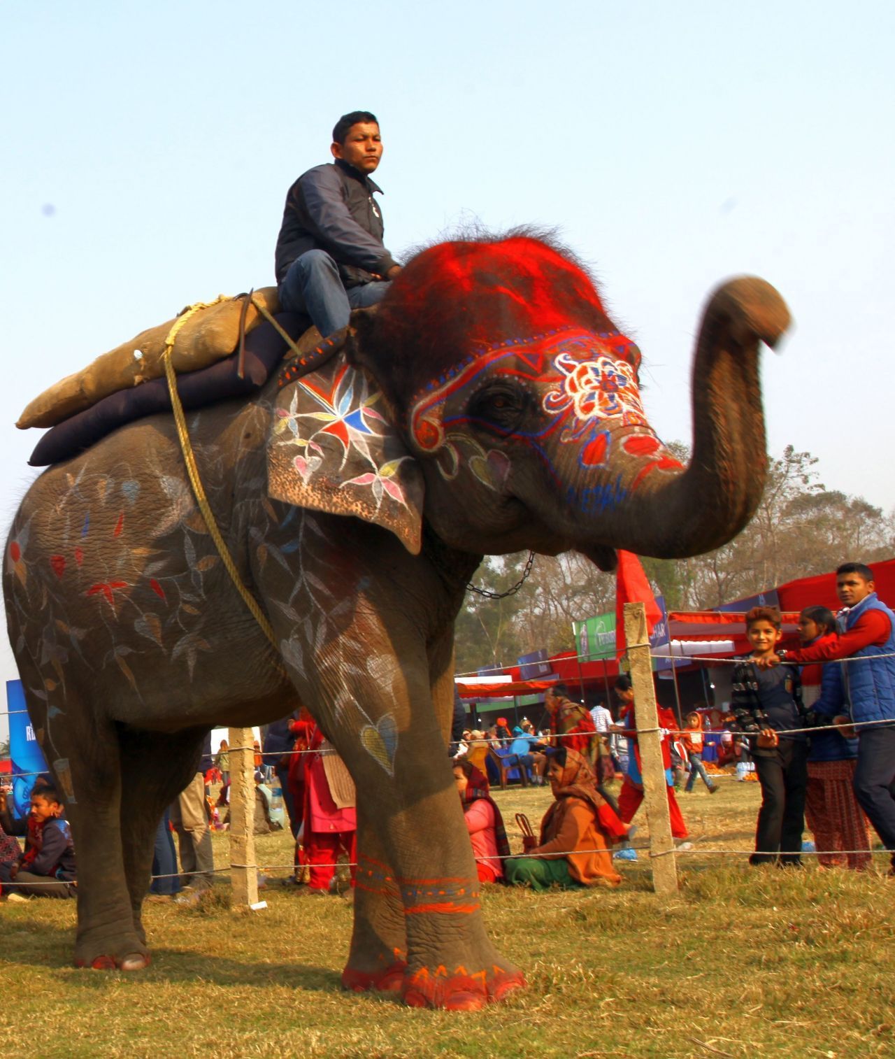 Das Chitwan Elephant Festival in Nepal ist ein farbenprächtiges Spektakel. Die dickhäutigen Teilnehmer des Beauty-Contest tragen kunstvolle Verzierungen auf ihrem Körper und sogar ihre Zehennägel sind sorgfältig rot lackiert. Jedes Jahr wird der schönste von ihnen prämiert. Tierschützer:innen jedoch kritisieren das traditionelle Event, zu dem auch ein Elefanten-Wettrennen und ein Elefanten-Fußballspiel gehören: Dafür würden d