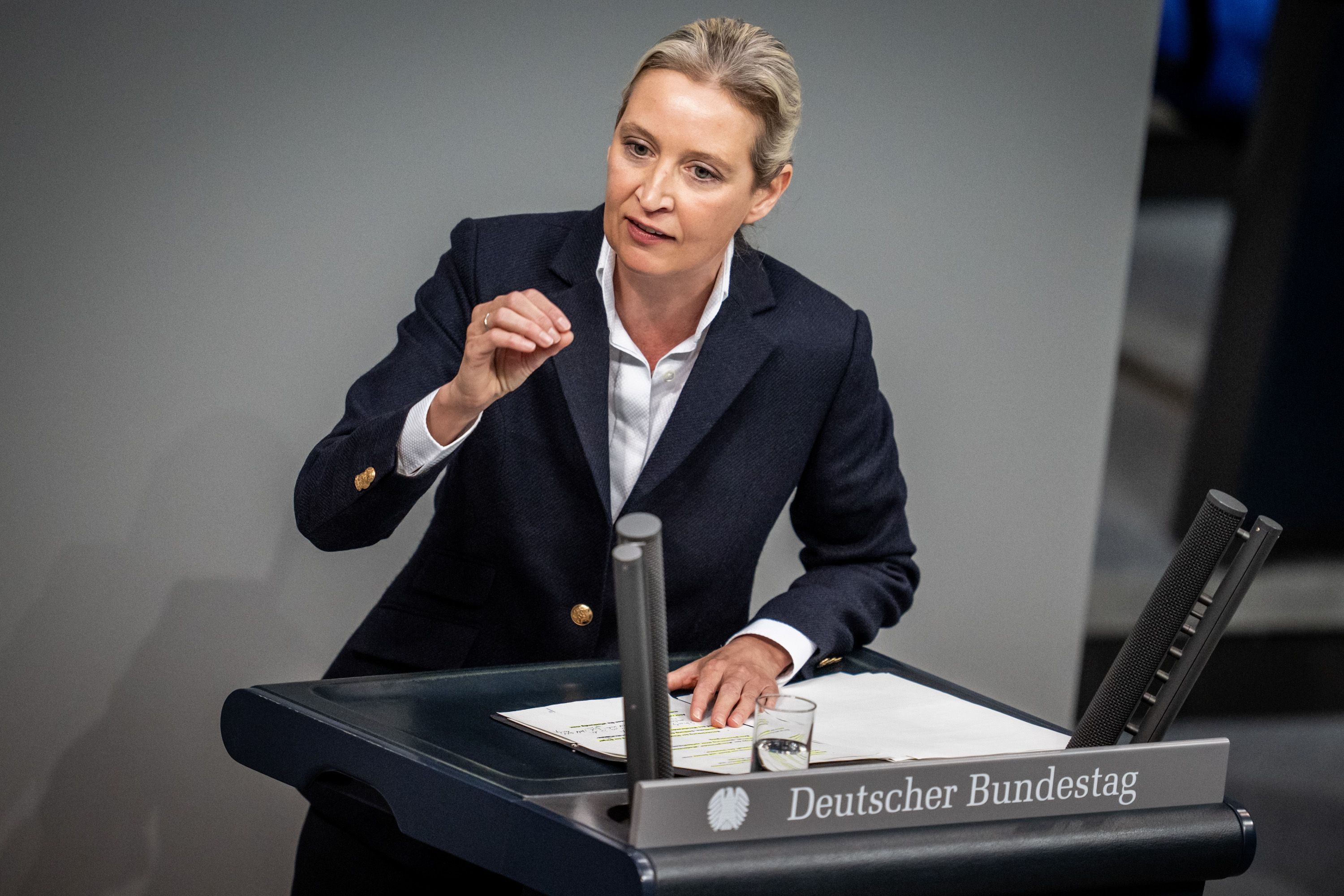 "Lügen": So Verteidigt AfD-Chefin Weidel Die "Remigration" Vor Le Pen