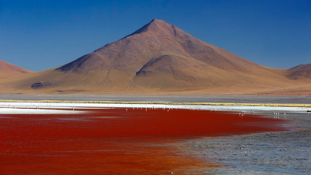 Farbenfrohes Naturphänomen: die Laguna Colorada in Bolivien.