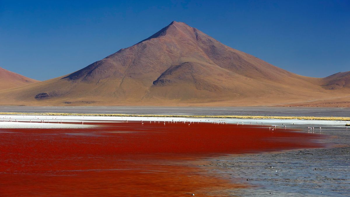 Laguna Colorada