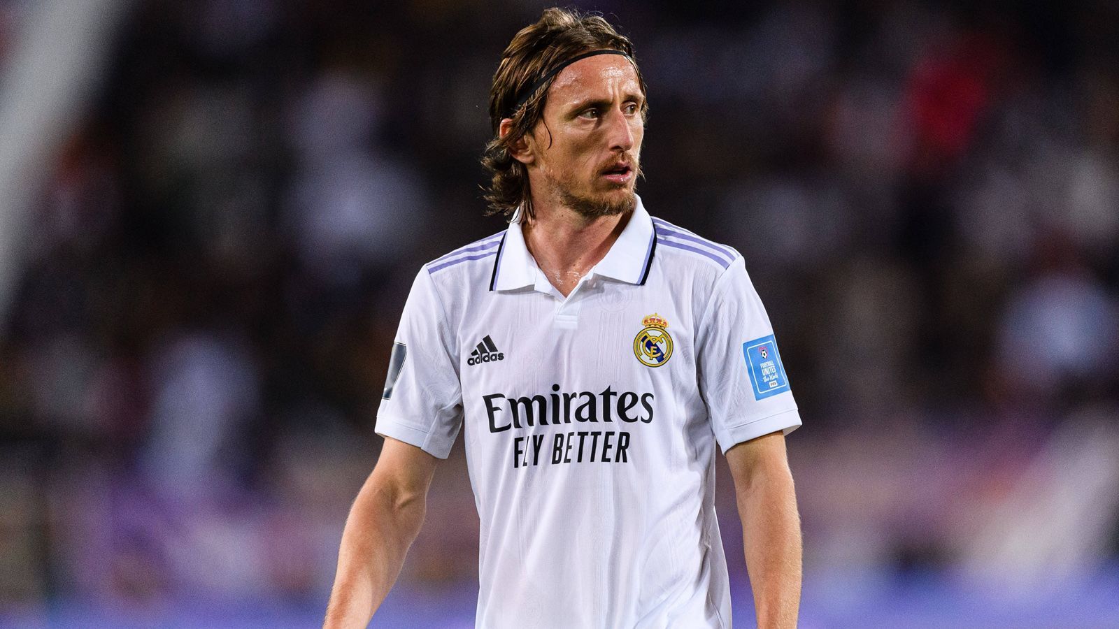 
                <strong>Luka Modric (Real Madrid)</strong><br>
                Position: Mittelfeld
              