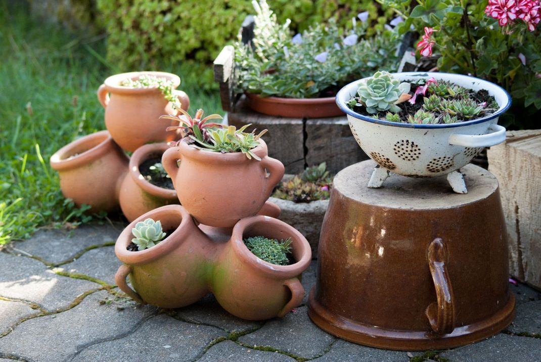 Verwenden Sie einen alten Sieb als Gartendeko. Selber machen können Sie daraus zum Beispiel eine Art Blumentopf. Entweder hängen Sie diesen auf oder stellen ihn dekorativ an einen geeigneten Platz.