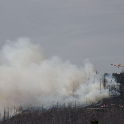 Waldbrand Harz