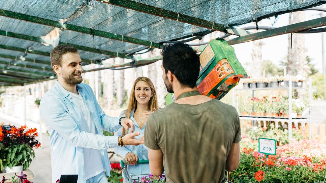 Gesunde Pflanzen dank der richtigen Erde: Welche Ansprüche Tomaten, Erdbeeren und Hortensien an ihre Erde haben und wie du sie optimal versorgst