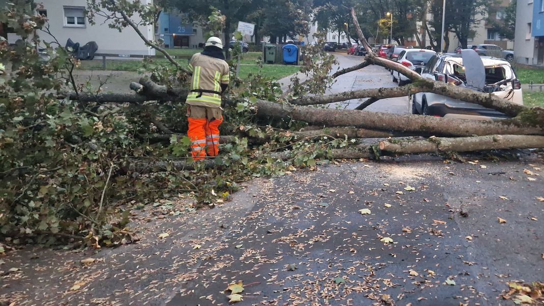 Ex-Hurrikan "Kirk" sorgt für zahlreiche Feuerwehreinsätze.