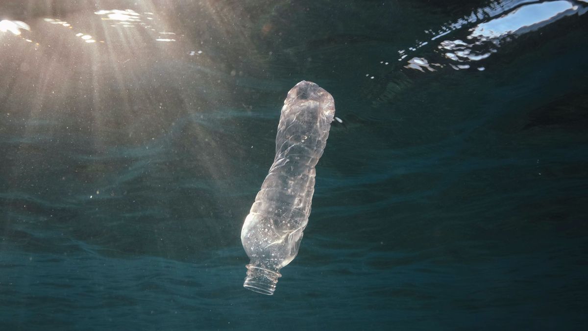 Plastikmüll im Meer