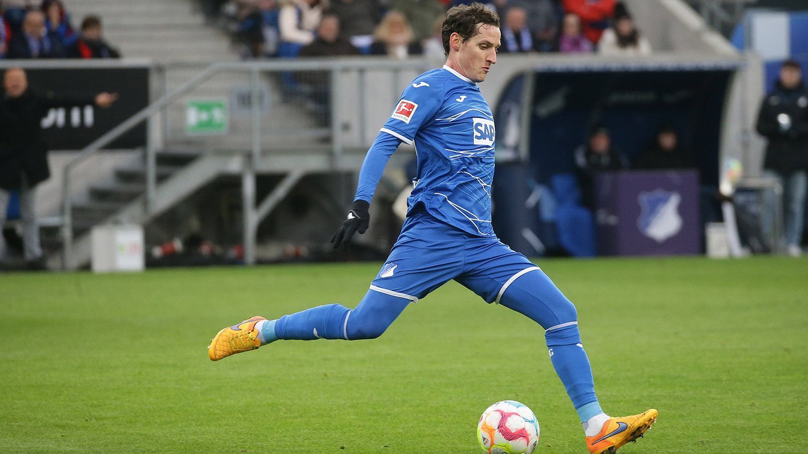 
                <strong>Platz 9: Sebastian Rudy</strong><br>
                -          350 Bundesliga-Spiele (17 Tore)-          Alter: 32-          Aktueller Verein: TSG 1899 Hoffenheim-          Position: Defensives Mittelfeld
              