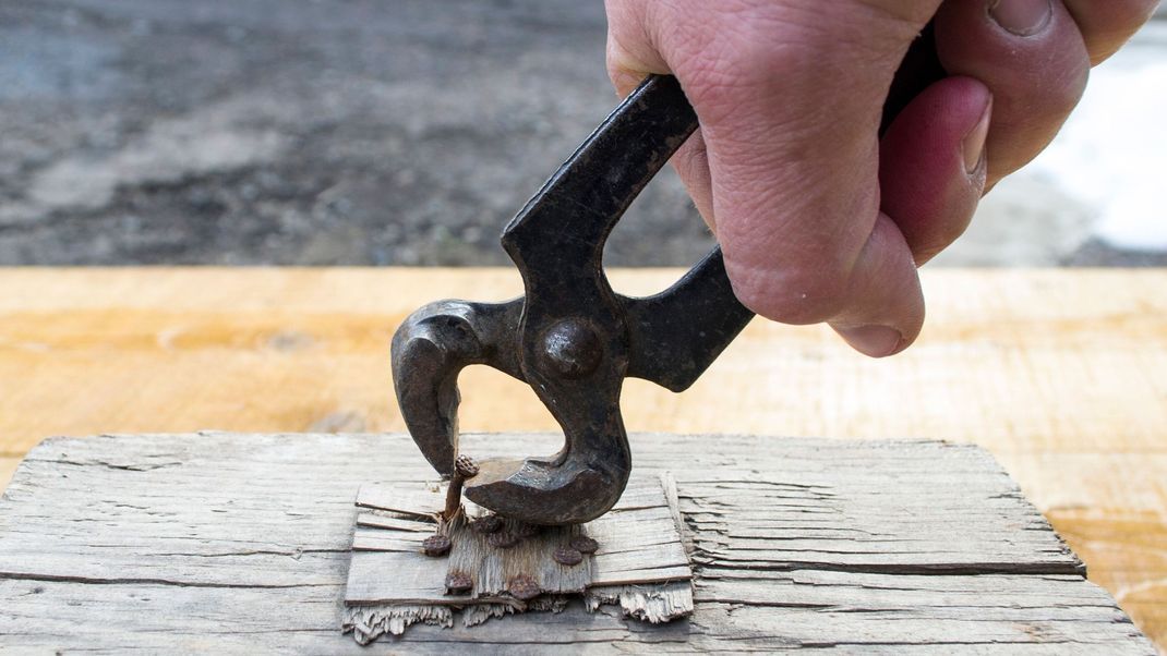 Heimwerker zieht mit Metallzange  Nagel aus dem Holz.