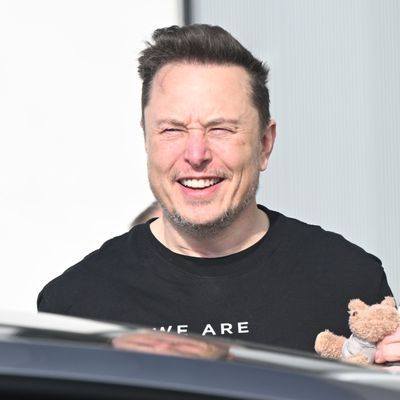 Tesla-Chef Elon Musk erwartet rasante Fortschritte bei Künstlicher Intelligenz.