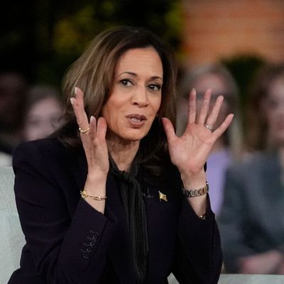 Präsidentschaftskandidatin Kamala Harris (l.) besitzt selbst eine Waffe, und würde sie in einem bestimmten Fall einsetzen.