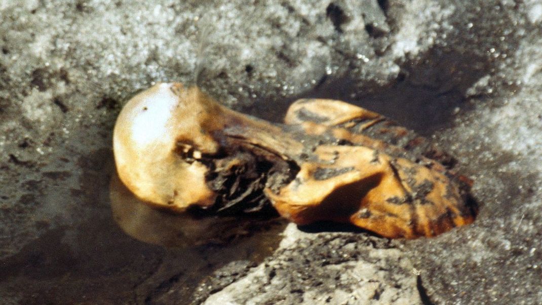 1991 fand das Ehepaar Erika und Helmut Simon beim Bergsteigen Ötzi in den Südtiroler Bergen.