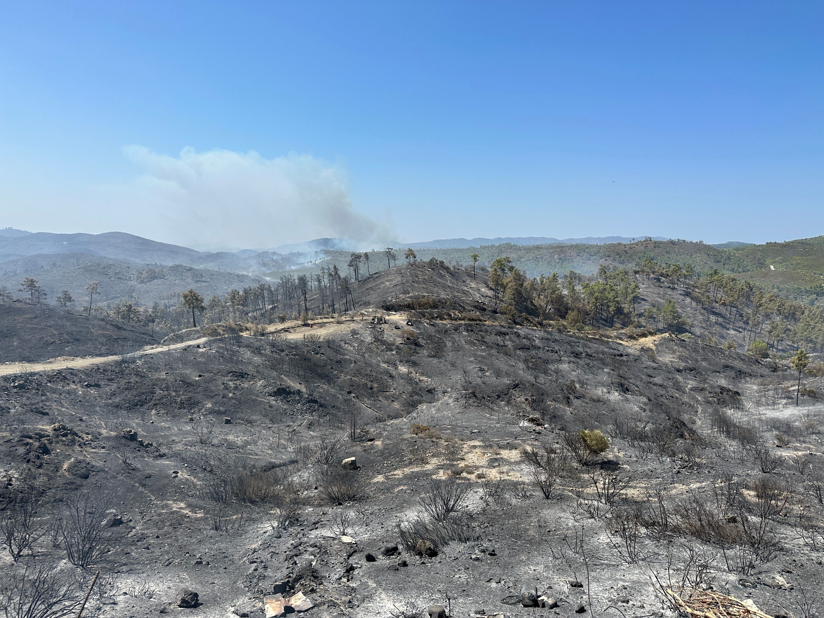 Waldbrände auf Rhodos