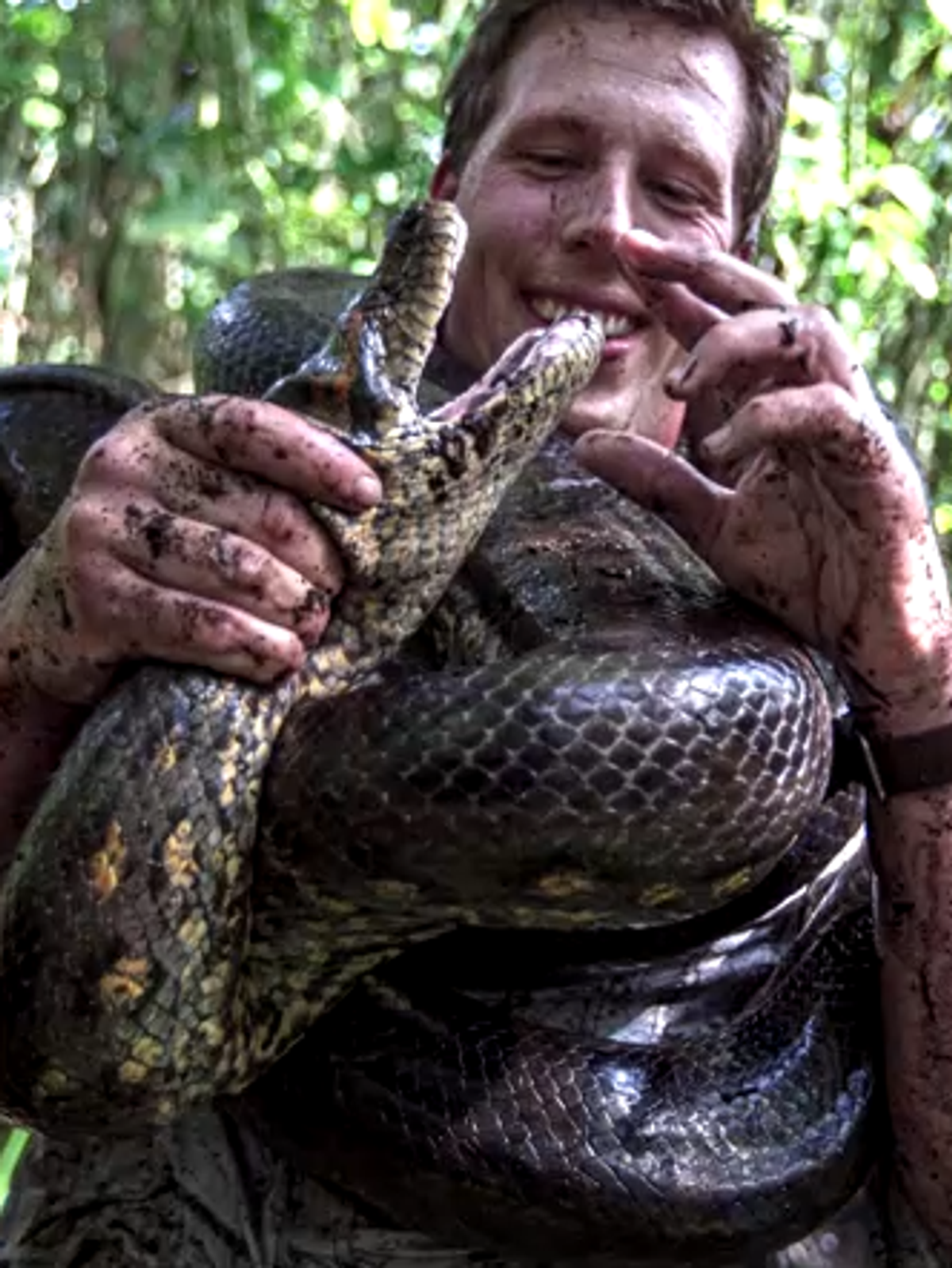Die erst kürzlich in Brasilien entdeckte Riesen-Anakonda Ana Julia ist offenbar getötet worden.