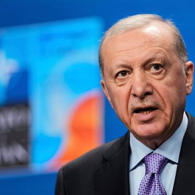 Der türkische Präsident Recep Tayyip Erdogan