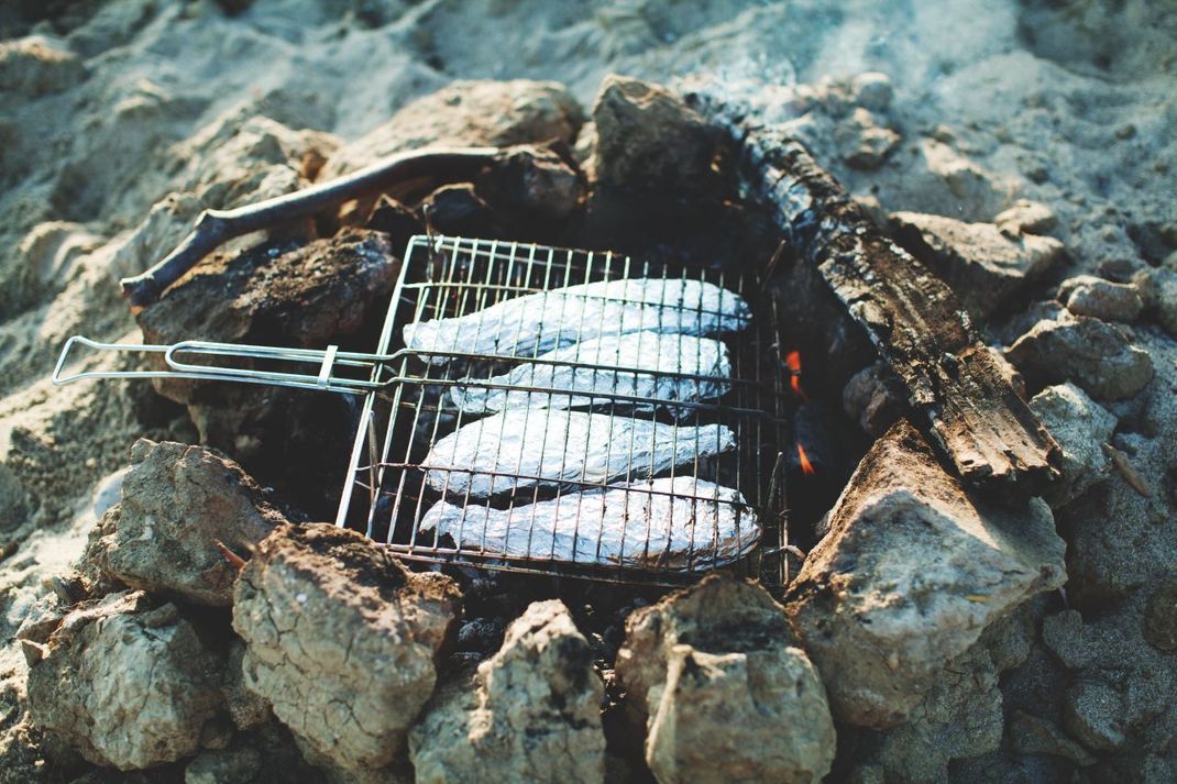 Fische grillen ist mit dem selbstgebauten Grill kein Problem.