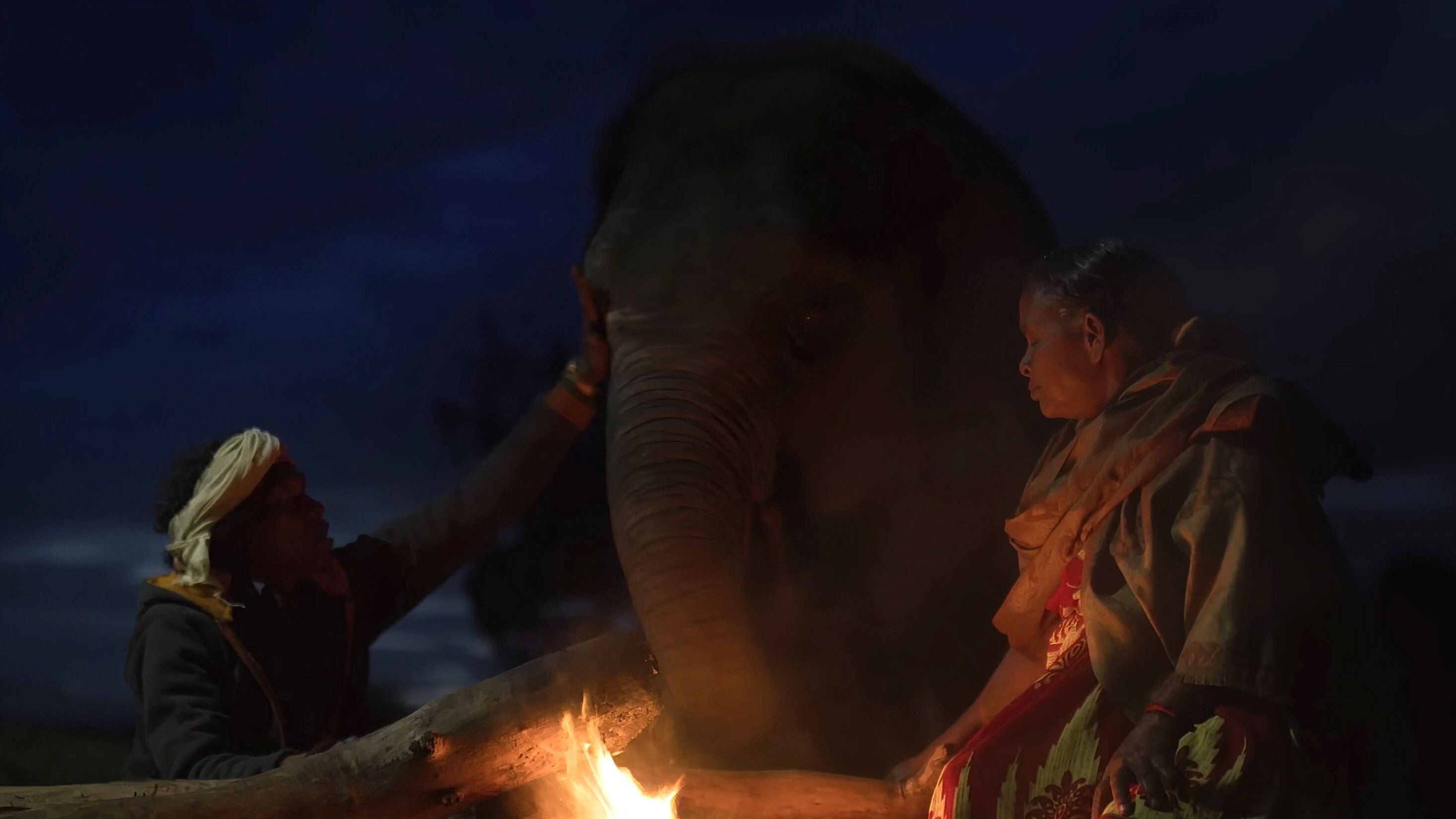 "Die Elefantenflüsterer" erhält Oscar für besten Dokumentar-Kurzfilm