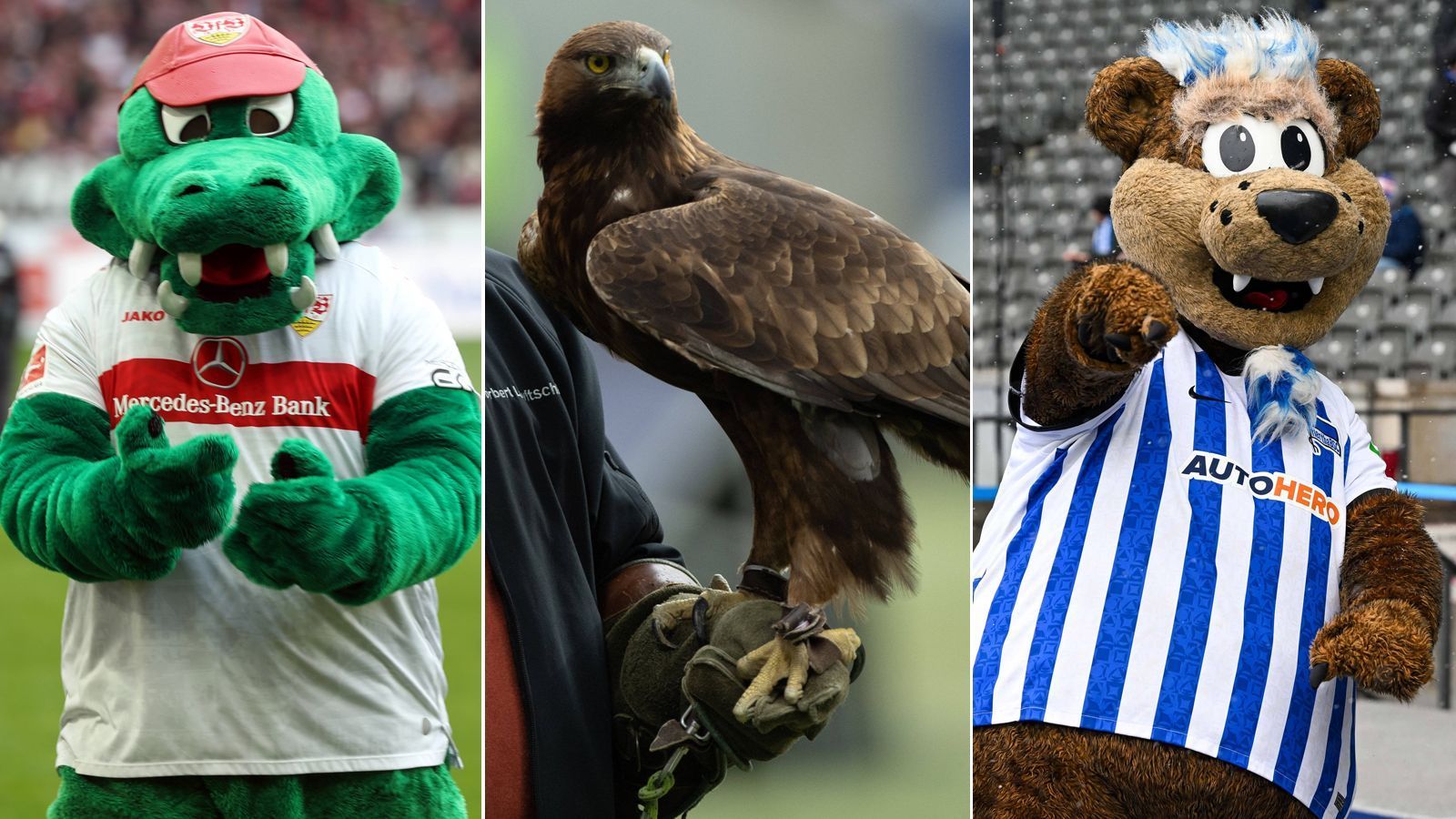 
                <strong>Ranking: Die beliebtesten Bundesliga-Maskottchen</strong><br>
                Die Plattform "FanQ" hat unter über 10.000 Fußballfans eine Befragung durchgeführt und dabei unter anderem ermittelt, welches das Lieblings-Maskottchen in der Bundesliga ist. ran zeigt die neun beliebtesten Maskottchen der Bundesliga. (Anmerkung: Die Fans konnten beim Voting mit einer Bandbreite von null bis fünf Sternen antworten, Quelle: FanQ, Stand: 3. Mai 2023)
              