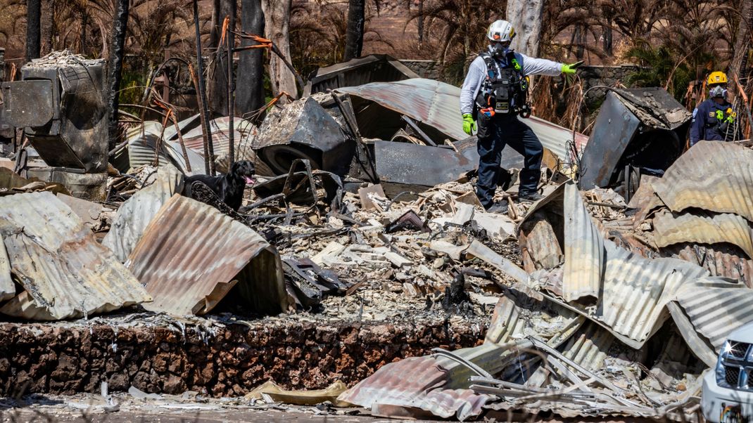 Einsatzkräfte suchen nach den Waldbränden auf Hawaii weiter nach vermissten Personen.