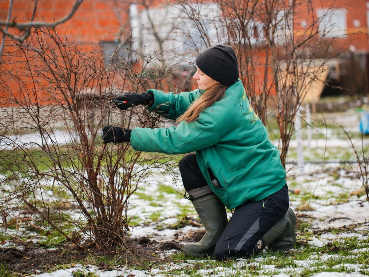 Garten winterfest machen: Diese Arbeitsschritte sind jetzt zu tun