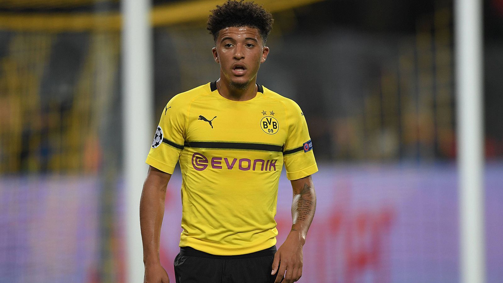 
                <strong>Offensives Mittelfeld: Jadon Sancho</strong><br>
                Das englische Talent kommt in der Schlussphase für Pulisic ins Spiel. Wenig später drückt er die Kugel aus kurzer Distanz über die Linie und krönt einen großen schwarz-gelben Abend. ran-Note: 2
              