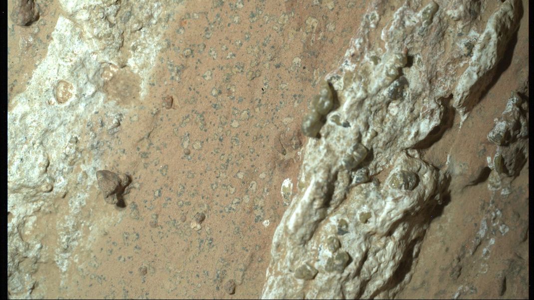 Ist dieses Gestein ein Hinweis auf ein früheres Leben auf dem Mars? Von der NASA kommt jetzt eine Erklärung.