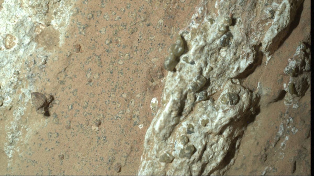 Mars-Stein könnte Zeichen von früherem Leben zeigen
