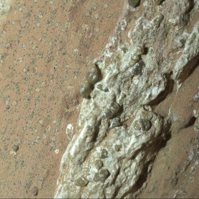Mars-Stein könnte Zeichen von früherem Leben zeigen