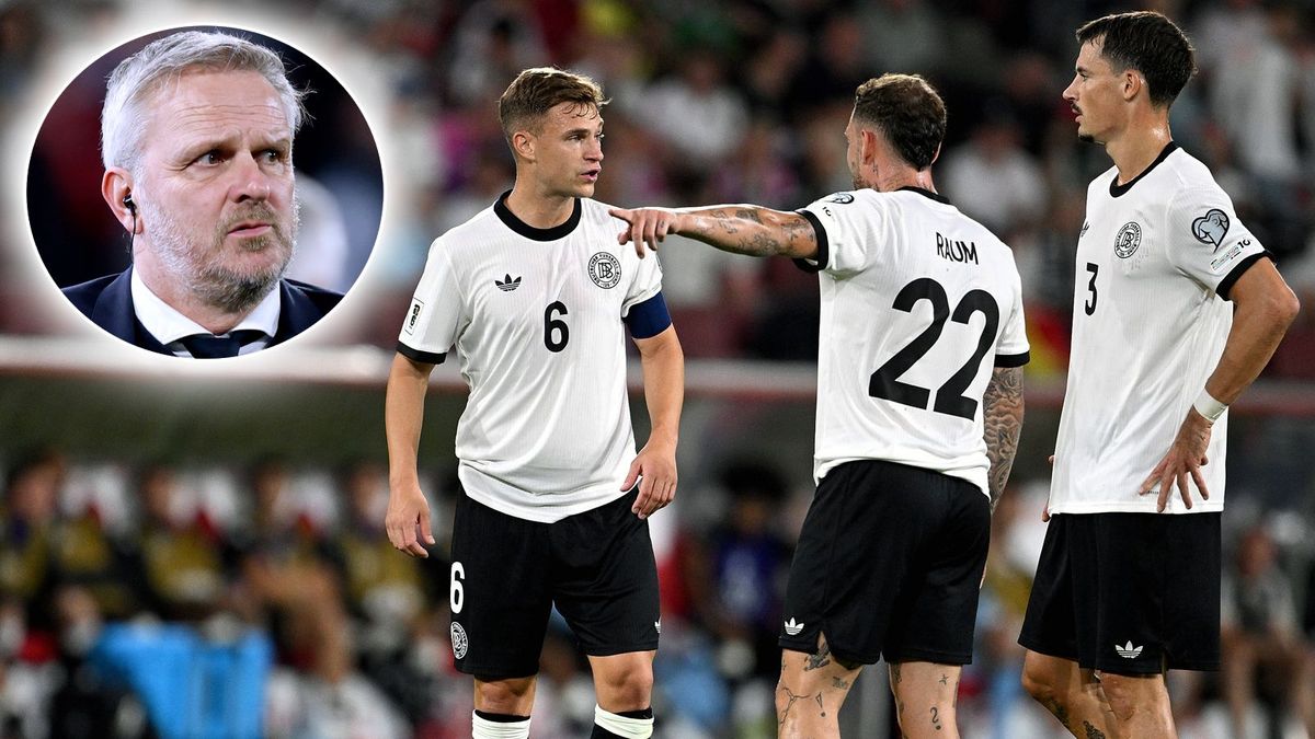 Hamann Kimmich
