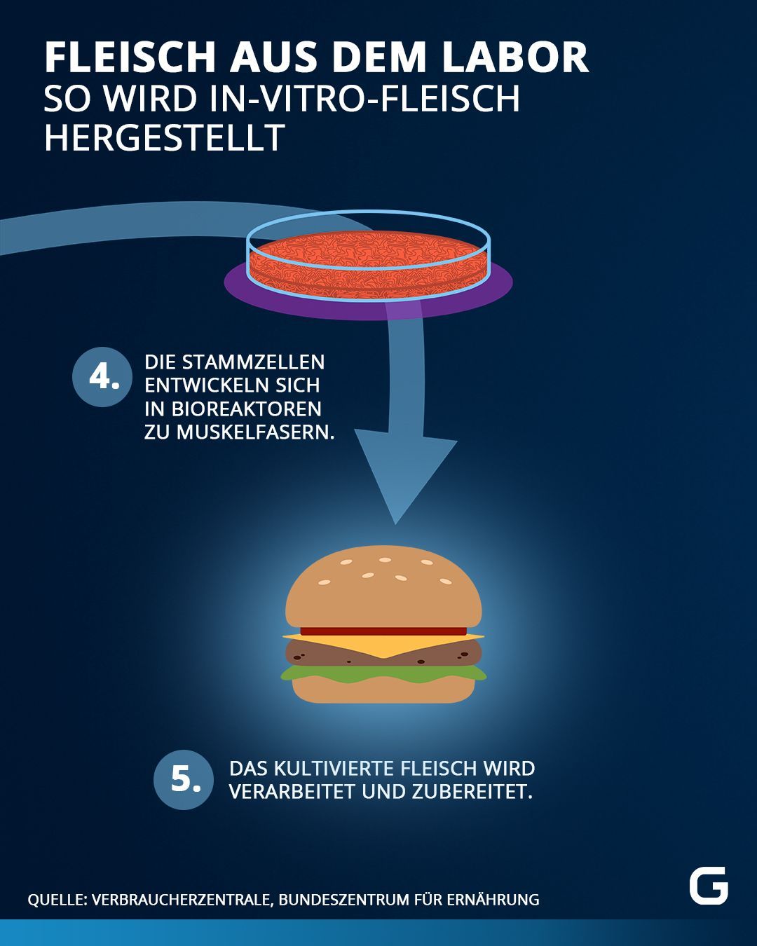 So wird In-Vitro-Fleisch hergestellt 