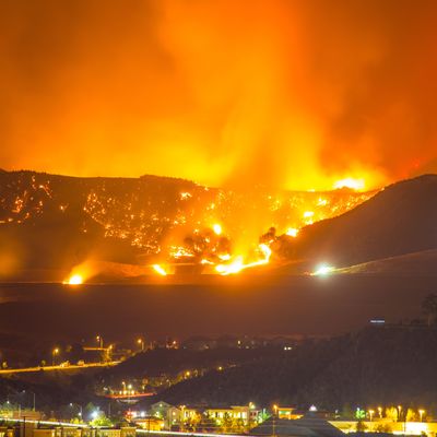 Waldbrände in den Bergen und Hügeln des Los Angeles County
