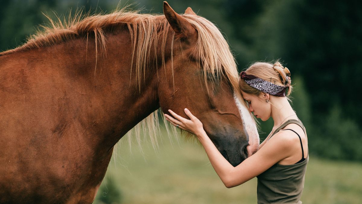 Young beautiful girl hugging horse at nature. Horse lover.