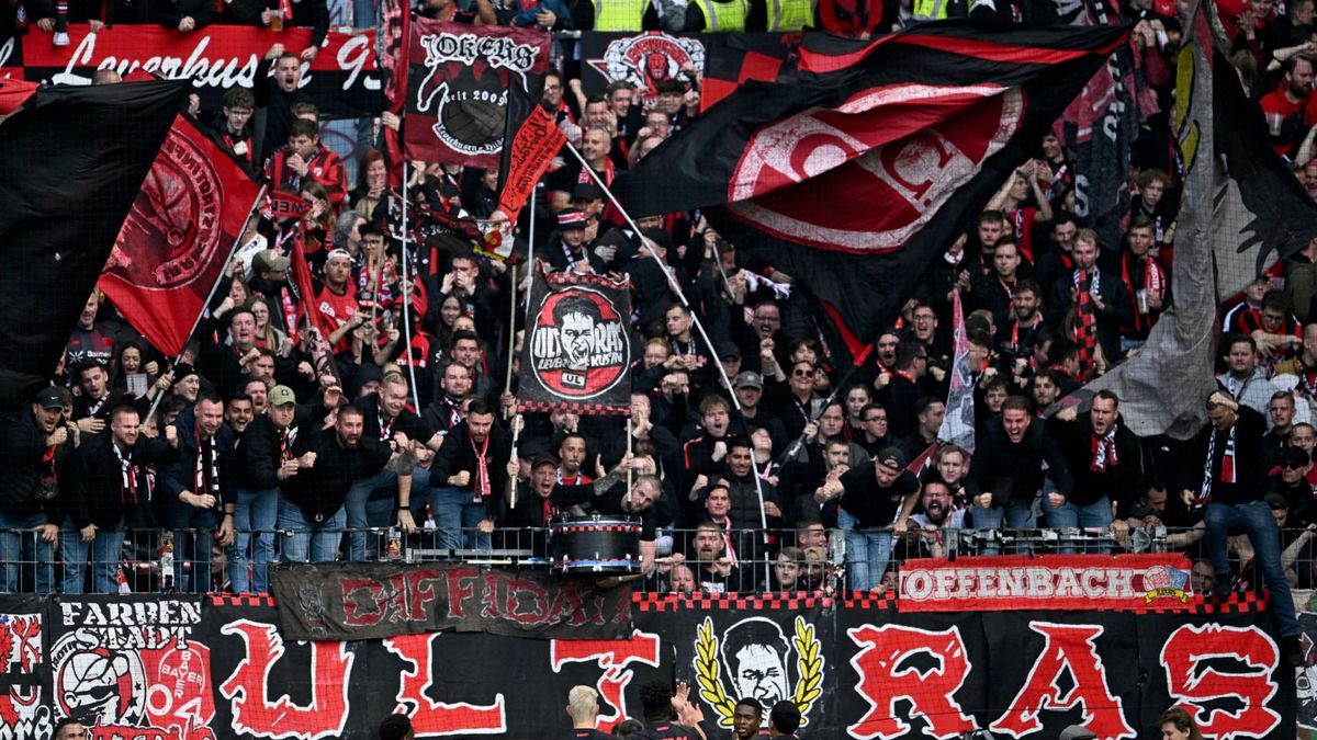 Gute Nachrichten für die deutschen Fans