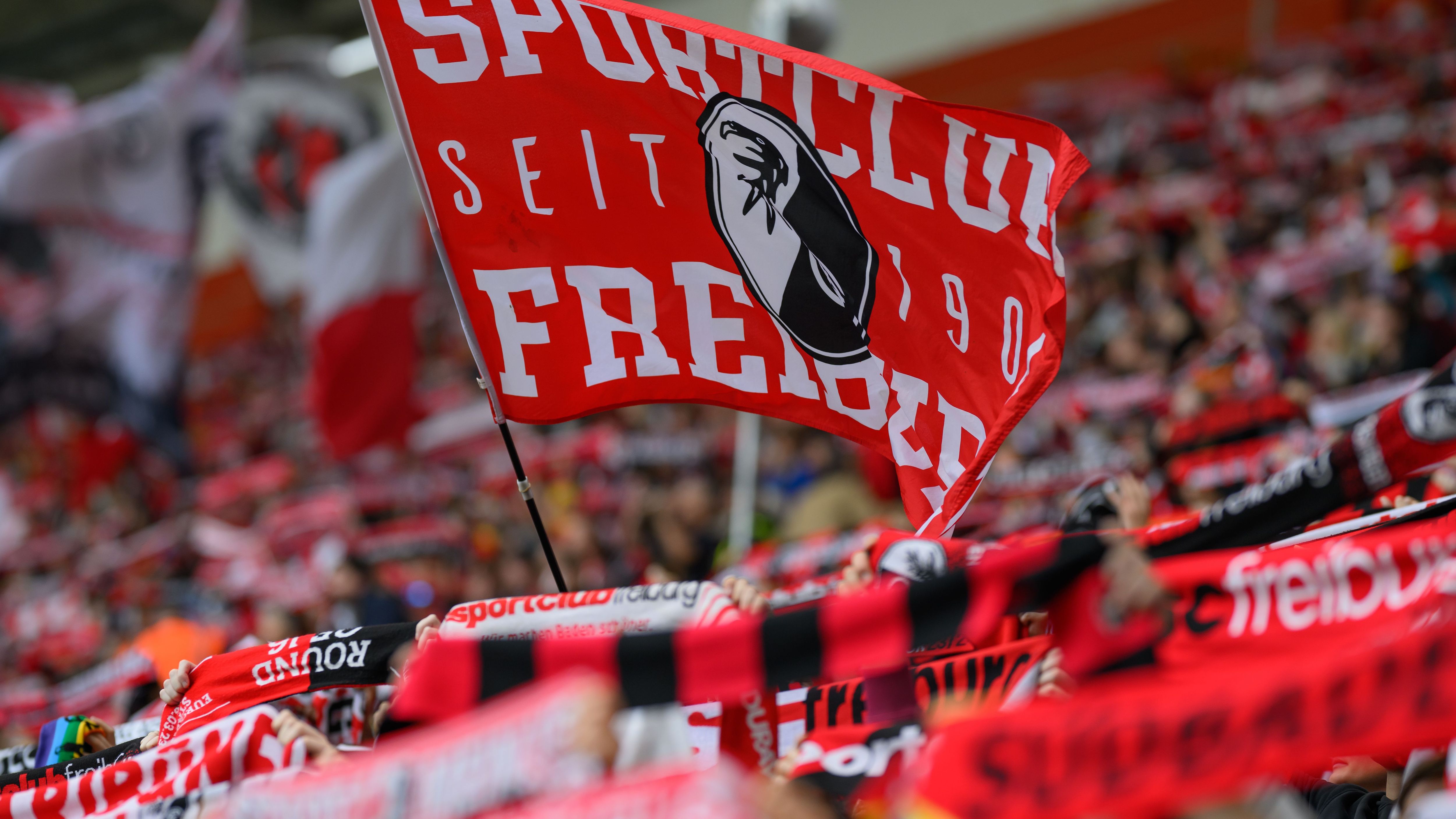 <strong>SC Freiburg</strong><br>230 Euro<br>Unterschied zur Vorsaison: 5 Euro weniger