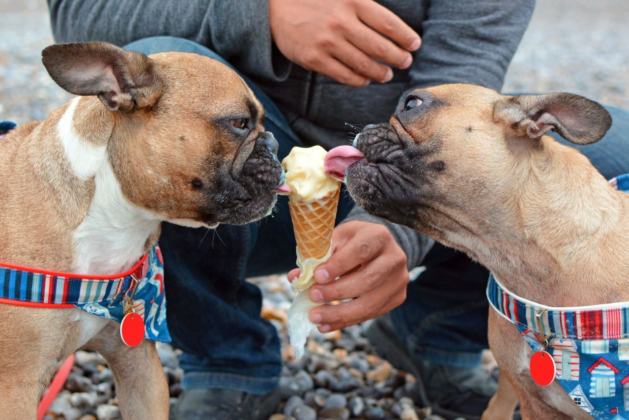 Ebenfalls im Angebot der Eismacher in Karlsruhe: Leberwurst-Eis für Hunde. Das gibt es übrigens in mehreren Eisdielen in Deutschland. 