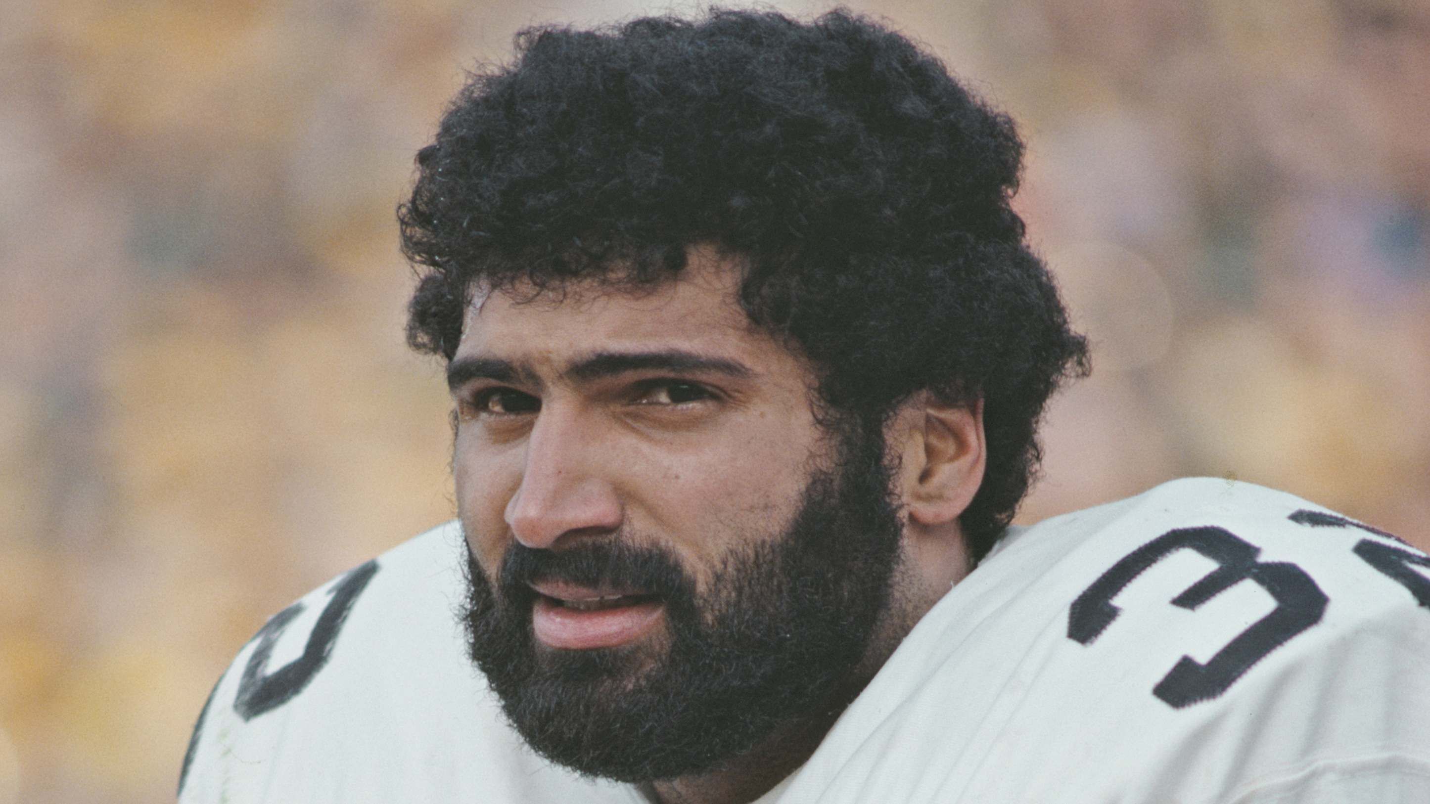 
                <strong>Pittsburgh Steelers: Franco Harris</strong><br>
                Erzielte Touchdowns: 100Position: Running Back
              